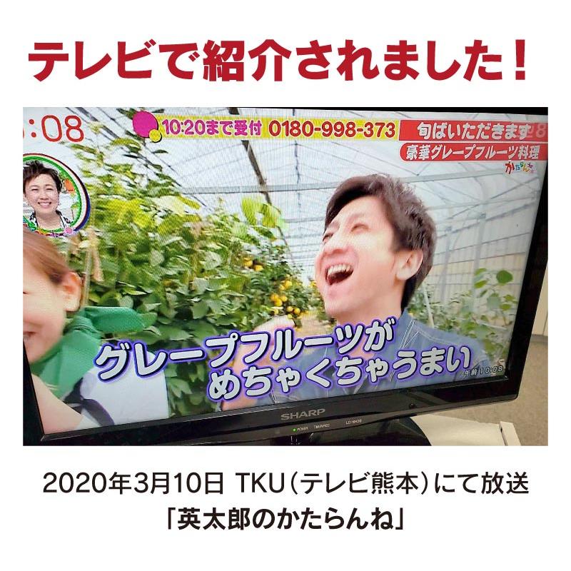 国産 グレープフルーツ 2kg 送料無料 熊本産 JAPANルビー ジャパンルビー  ＜2024年3月下旬より出荷予定＞