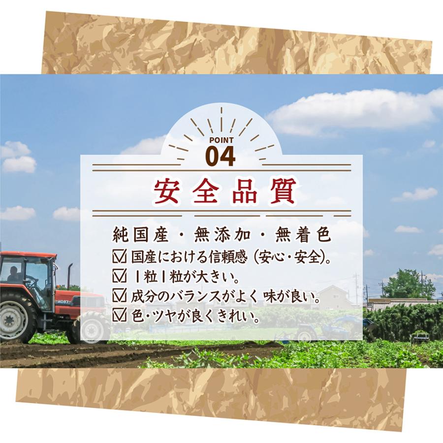 セール 雑穀 雑穀米 国産 ひきわりとうもろこし 450g 送料無料 コーン 無添加 無塩 砂糖不使用 油不使用