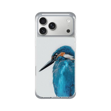 iPhone 17 Pro Max ClearX (MagSafe 兼容) 霜透灰 - Alexis Rateau - 翠鳥