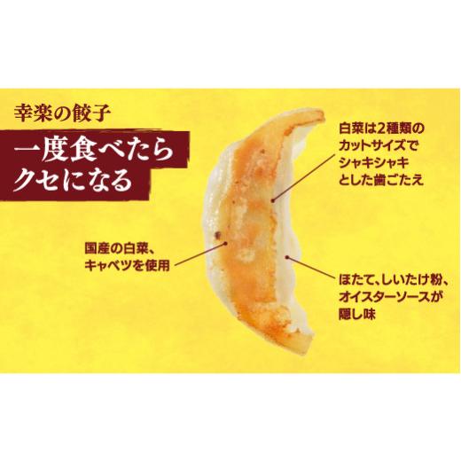 ふるさと納税 栃木県 宇都宮市 　餃子30個入り×2箱