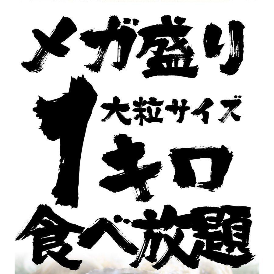 広島産 剥き牡蠣1kg（30個前後) 大粒 2L かき カキ 在宅 中元 お歳暮 ギフト