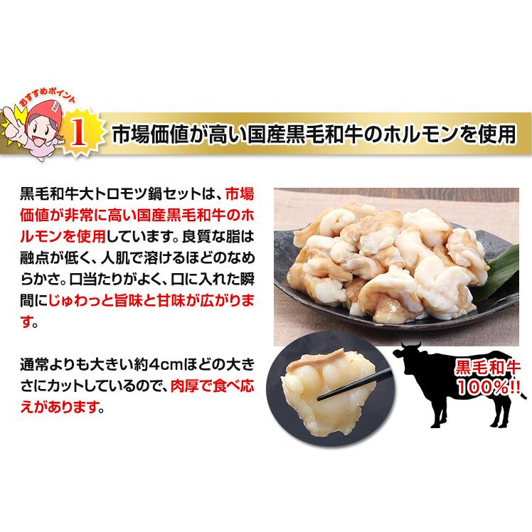 黒毛和牛大トロもつ鍋セット 約500g （特製スープ付）