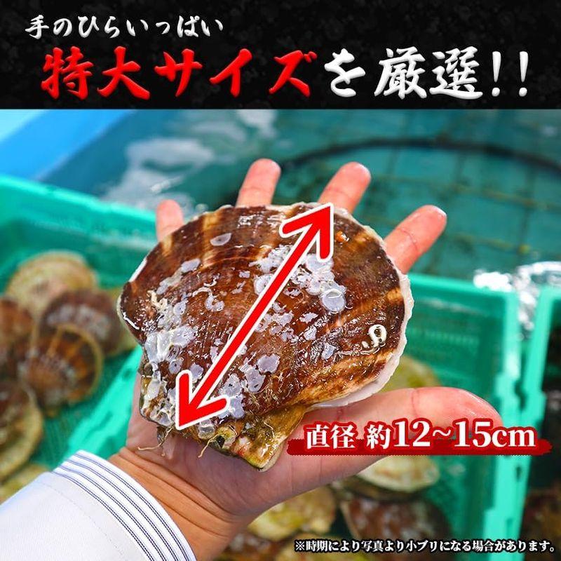 ほたて 3kg 活ほたて 青森県産新鮮プリっと甘い青森県むつ湾産 活ほたて 3ｋｇチルド便海鮮