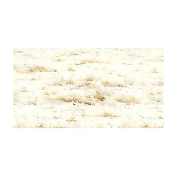 枯茸雪篆 PET 紙膠帶