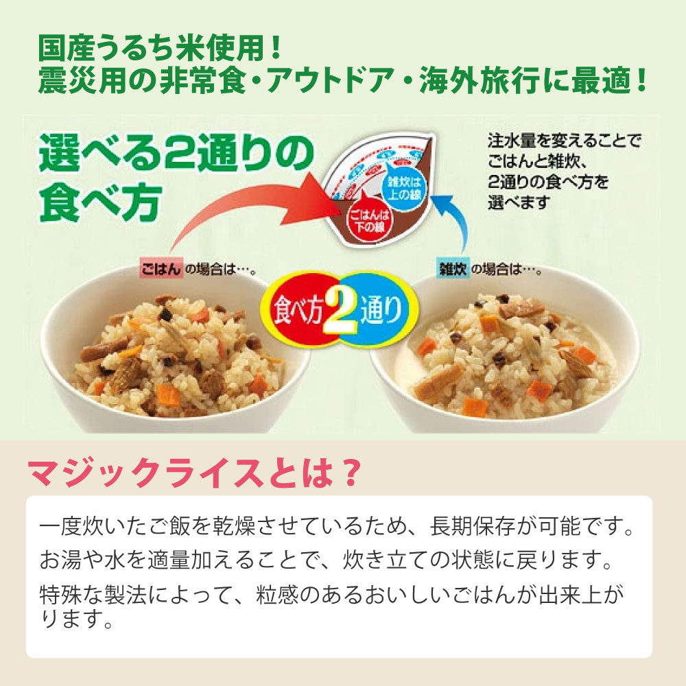 非常食 サタケ マジックライス ドライカレー 10食セット アレルギー対応 5年保存