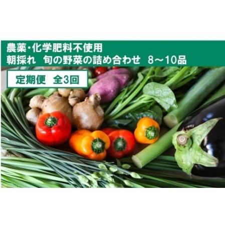 ふるさと納税 『定期便』土佐の太陽をいっぱいに浴びた旬の野菜セット小（3回配送） 高知県高知市