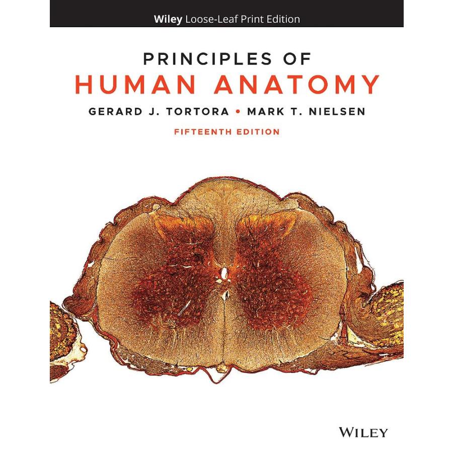 Principles of Human Anatomy