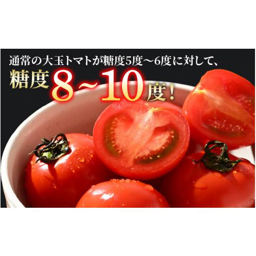 ふるさと納税 福井県 あわら市 《定期便3回》高糖度 ミディトマト 越のルビー 約2kg 10パック（計約6kg）／ 福井県産 ブランドトマト 中玉 農家直…