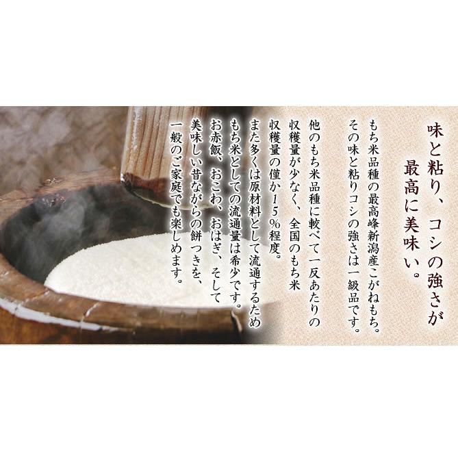 新米 白米 15kg こがねもち米 5kg×3袋 令和5年産 新潟産 送料無料 （北海道、九州、沖縄除く）