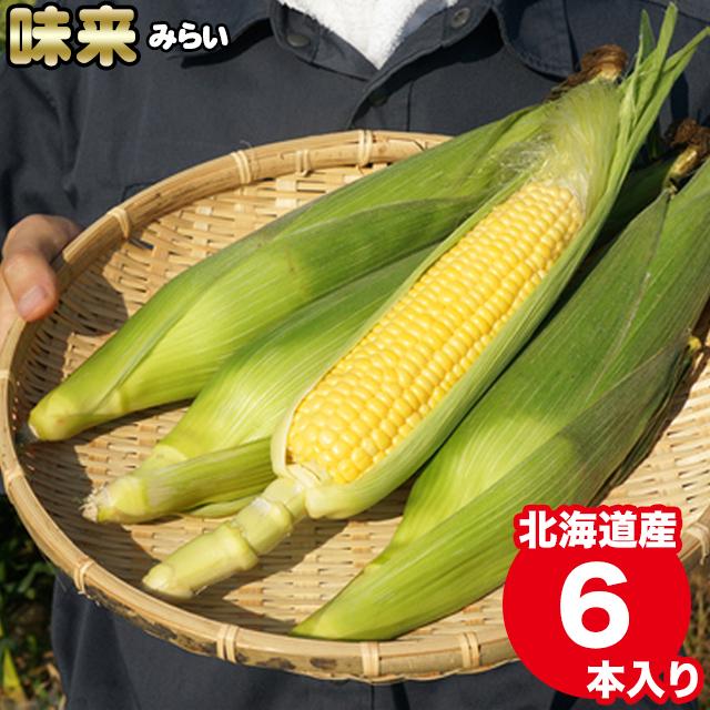 2024年予約 とうもろこし 送料無料 北海道産 味来 6本入り   トウモロコシ とうきび 北海道 産地直送 新鮮 品種 イエローコーン