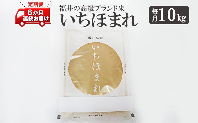 いちほまれ10キロ　福井の高級ブランド米　6ヶ月連続お届け