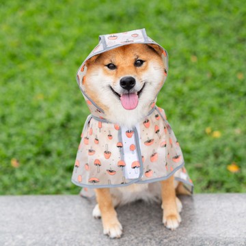 熱銷狗狗雨衣中大型犬反光戶外防水衣服柴犬金毛柯基小狗寵物蘑菇雨披