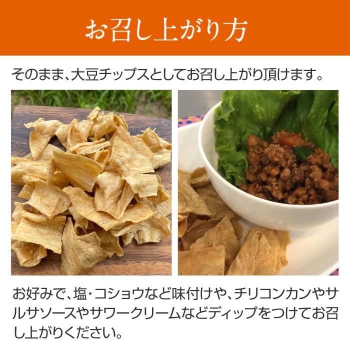 大豆ミート 大豆チップス オーガニック 国産  国産 250g 無農薬 無肥料 スーパーフード