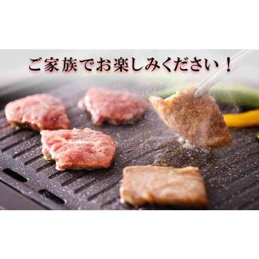 ふるさと納税 宮崎県 美郷町  宮崎県産 焼肉 セット 黒毛和牛 モモ カルビ 豚バラ 若鶏 モモ 合計7.2kg 各300g 小分け 冷凍 送料無料 国産 BBQ…