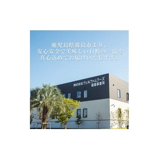 ふるさと納税 鹿児島県 霧島市 A0-271 九州産！若どり冷凍もも切身(400g×6袋・計2.4kg)霧島市 国産 鶏 鳥肉 もも肉 小分けパック