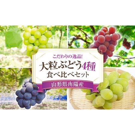 ふるさと納税  大粒ぶどう4種食べ比べセット おまかせ4房《令和6年9月上旬〜発送》 『うえ木ぶどう園』 ぶどう 果物 フル.. 山形県南陽市