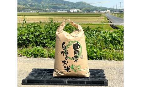 福岡県苅田町白川産 夢つくし・元気つくし 食べ比べ セット 5kg×各1袋 合計10kg お米 精米