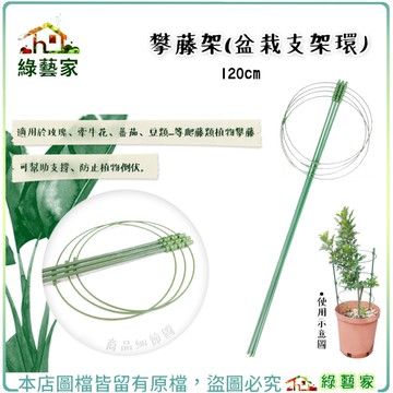 【綠藝家】攀藤架-120公分 (盆栽支架環) 爬藤架、園藝支架、瓜架、植物架、支架
