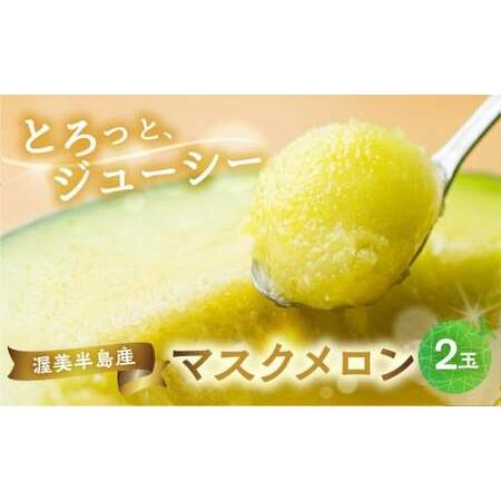 ふるさと納税 渥美半島産 マルカ農園のマスクメロン 2玉 (1玉1.5kg以上) めろん 箱詰め フルーツ 果物 田原市 産地直送 夏 10000円 1万円 愛知県田原市