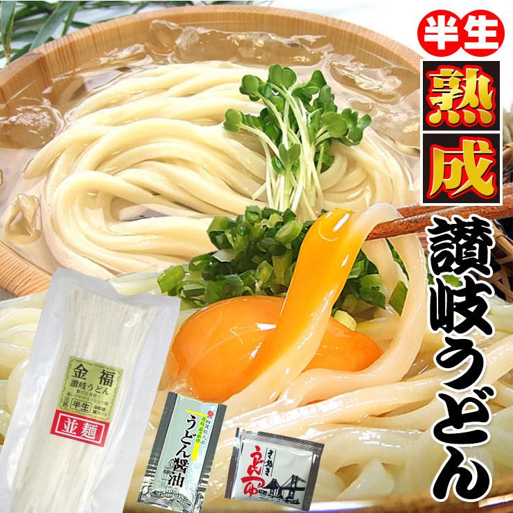 20時間熟成  半生 並麺 讃岐うどん つゆ付きセット 便利な個包装 750g 送料無料 最安値挑戦 得トクセール 特産品