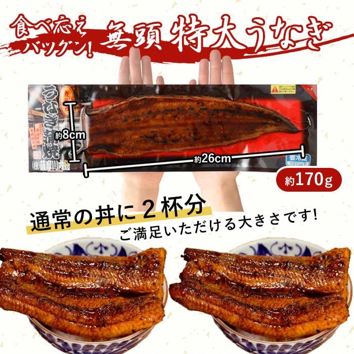 国産 うなぎ蒲焼き 約170g×3尾 うなぎ 蒲焼き 鹿児島県産 170g 3尾 薩摩川内うなぎ 蒲焼 うなぎ蒲焼 冷凍 鹿児島 国産 九州産 鰻 ウナギ プレゼント 薩摩川内市