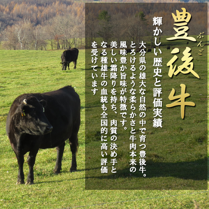 豊後牛 サーロインステーキ 180g×2枚・三角バラ 焼肉用 500g セット ゆふいん牧場 国産 生肉 冷蔵 MSSB-150