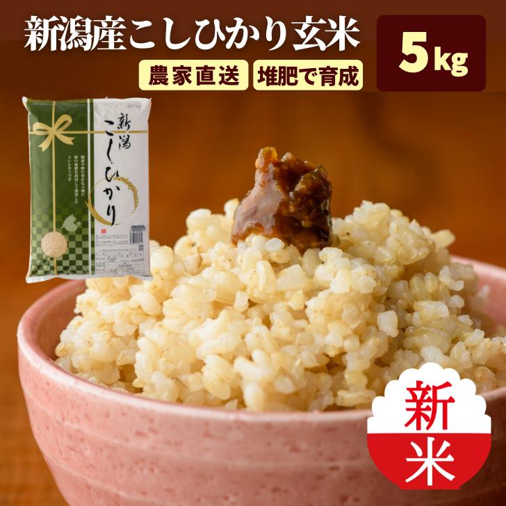 新米 5年産 玄米 通販 米 新潟 産 コシヒカリ 玄米 5kg こしひかり 減農薬 農家 直送 生産者 コシヒカリ 5kg 新潟県産 玄米 おすすめ 玄米 販売