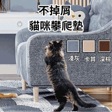 ［台中現貨 出清］貓抓墊 貓抓板 寵物玩具 貓咪攀爬墊 貓咪 攀爬 寵物用品 貓咪用具 寵物