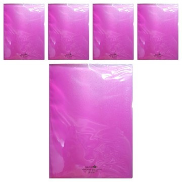 LIHIT LAB. 40頁資料本 N-5001  紫色  5本