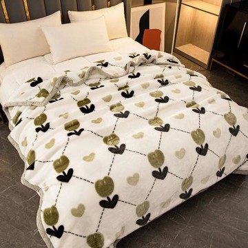 冬季拉舍爾雙層毛毯可機洗單雙人跨境毛毯子法蘭絨高克重外貿絨毯