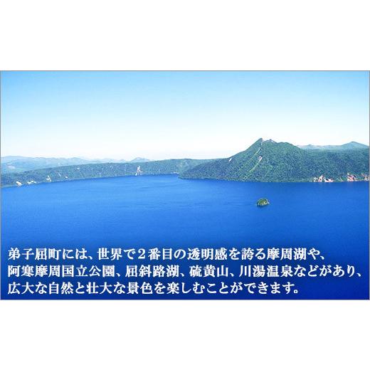 ふるさと納税 北海道 弟子屈町 1446.  弟子屈 カレー 5種 食べ比べ 計5個 中辛 バターチキンカレー スープカレー ビーフカレー ポークカレー 牛すじカレー 業…