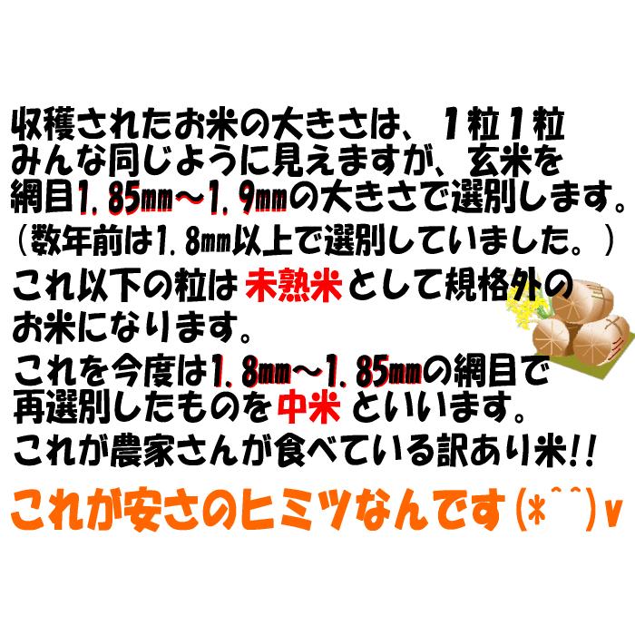 訳あり 新潟県産 中米 コシヒカリ 10kg 従来コシヒカリ 令和5年産