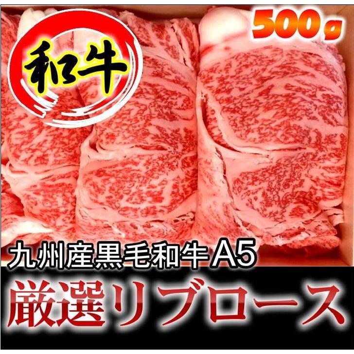 厳選上牛リブロース500g　九州産限定(宮崎牛・鹿児島牛・博多和牛・佐賀牛)