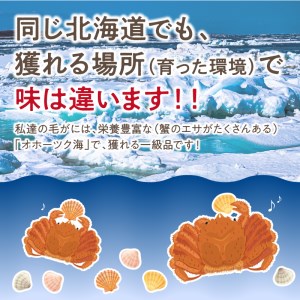 《14営業日以内に発送》オホーツク海産 浜茹で毛がに 400g×1パイ