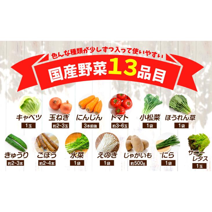 国産野菜13品目セット 1組 冷蔵 ご家庭用 送料無料 食品