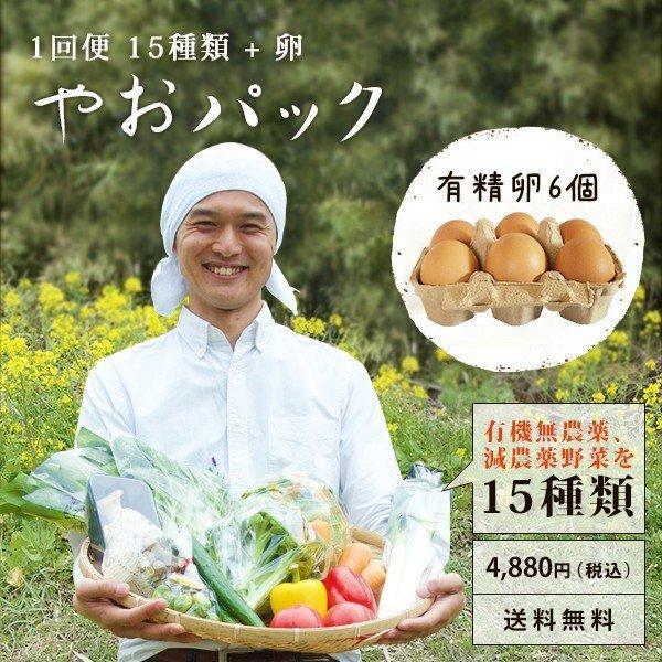 野菜セット やおパック １回便　15種類と卵　送料無料