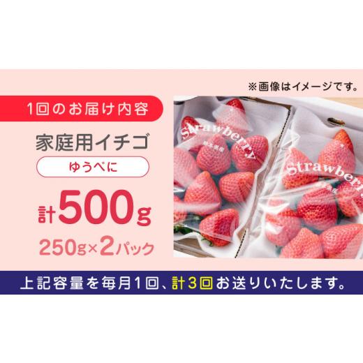 ふるさと納税 熊本県 山都町 熊本県産 ゆうべに いちご  セット 250g×2P 農園直送 産地直送 山都町産[YBI045] 2…