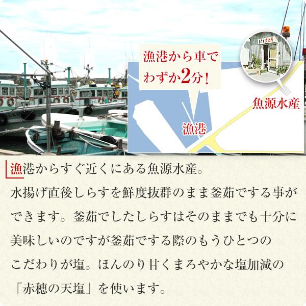 冷凍 釜揚げ しらす 2パック 冷凍 小分け 産地直送 産直 シラス かまあげ 釜上げ 釜あげ