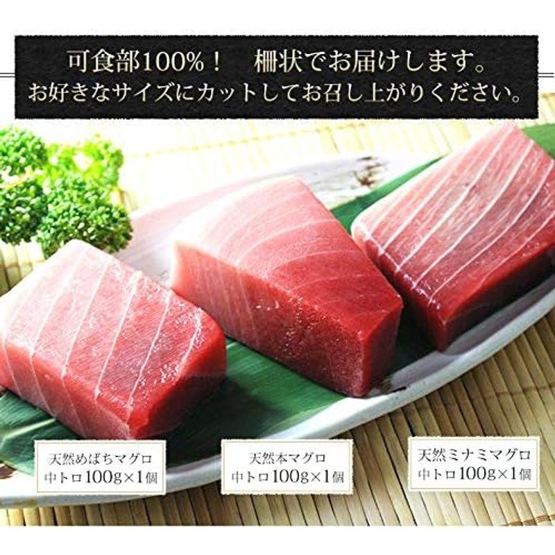 魚耕 天然マグロ 中トロ 3種約2人前 各100g×3個 300g ミナミマグロ 本マグロ めばち鮪 ギフト