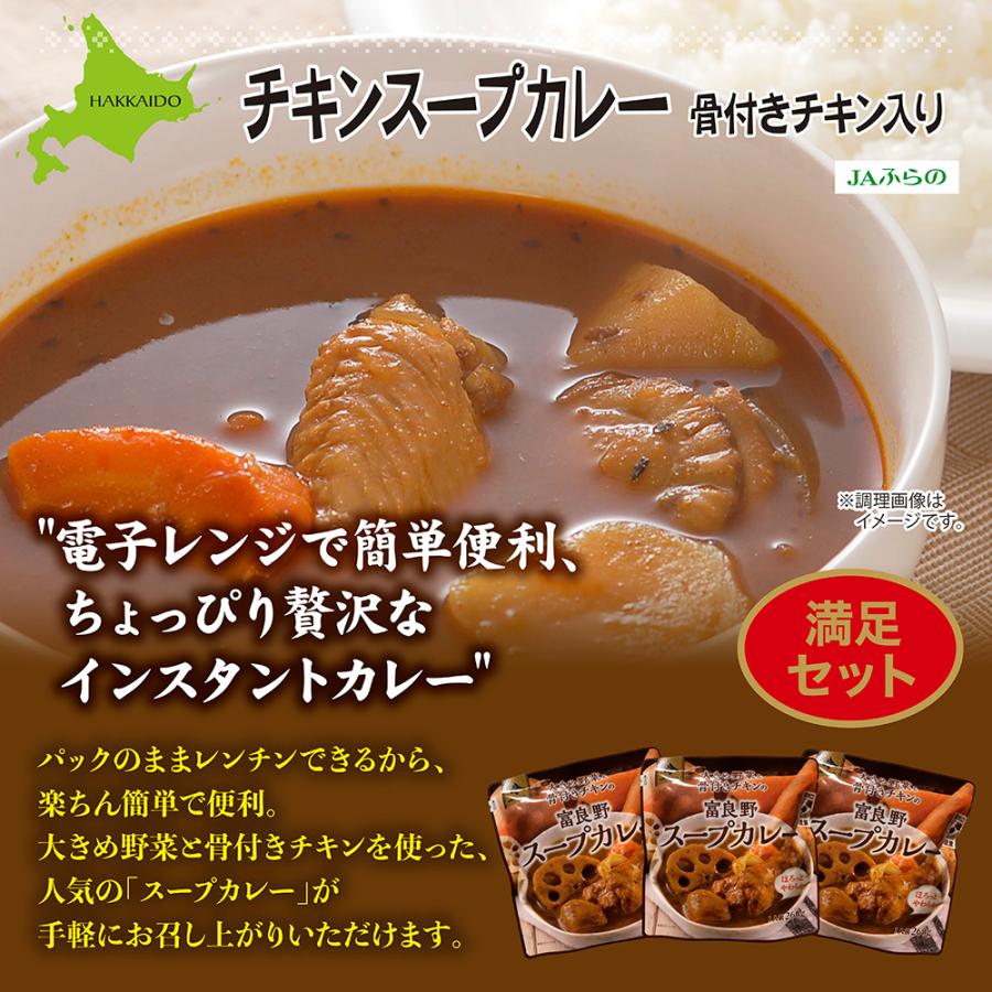 JAふらの 北海道ご当地カレー 大き目野菜と骨付きチキン入りスープカレー 10パックセット レンジ対応パウチ  レトルトカレー インスタントカレー