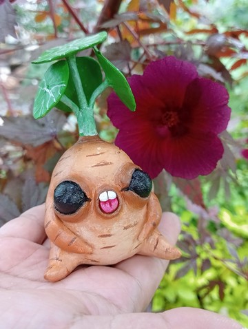 可愛的曼德拉草