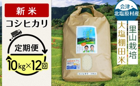 会津・北塩原村産「コシヒカリ」10kg×12回お届け(大塩棚田米・標高500ｍ里山栽培） KBK010