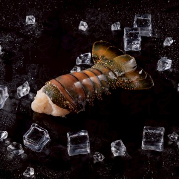 【饕針】龍蝦尾 210g±10%(7盎司)，超低溫急速冷凍保鮮，肉質結實彈牙、鮮甜多汁