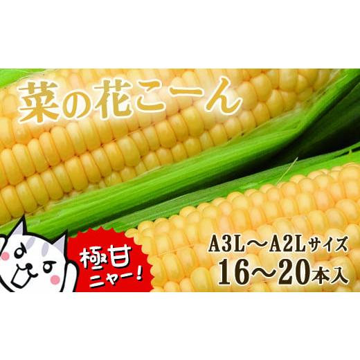 ふるさと納税 岩手県 一関市 朝採れ とうもろこし「菜の花こーん」16〜20本 A3L〜A2Lサイズ  7月下旬より発送