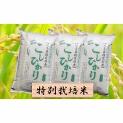 特別栽培米★精米30kg（分搗き可）または玄米33kg 【コシヒカリ】