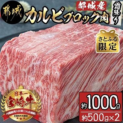 ふるさと納税 都城市 都城産宮崎牛カルビブロック肉(霜降り)約1,000g