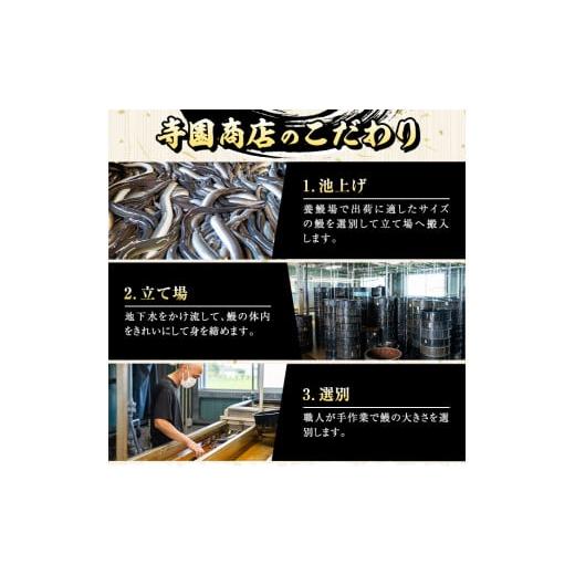 ふるさと納税 鹿児島県 鹿屋市 1387 大隅特産うなぎ蒲焼３尾（510ｇ）