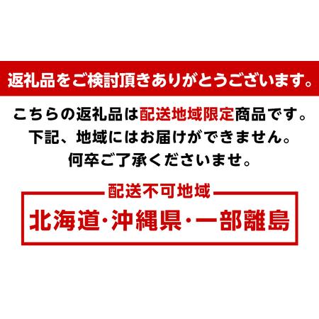 ふるさと納税 蔵出しみかん10kg　S・M・Lサイズお任せ　和歌山県より農園直送  和歌山県海南市