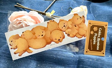 睡眠金毛小狗書簽