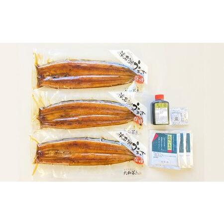 ふるさと納税 浜名湖うなぎ蒲焼 120g×3尾（計360g） 真空パック 冷蔵  静岡県浜松市